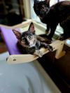 Maybelle25 photo 4