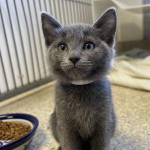 Hi My name is Penne and Im at the Santa Barbara Campus Im a 2 month old fema