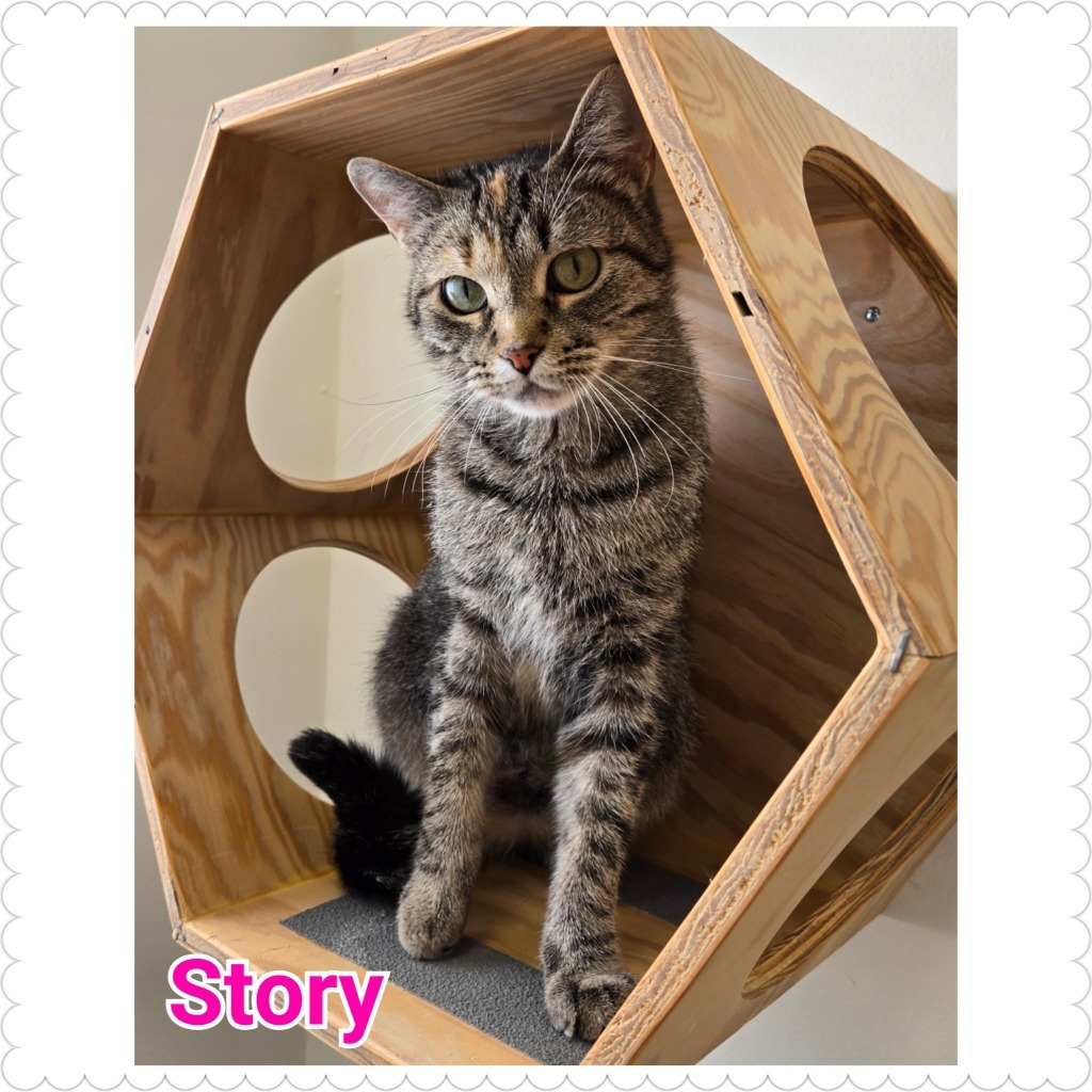 Story