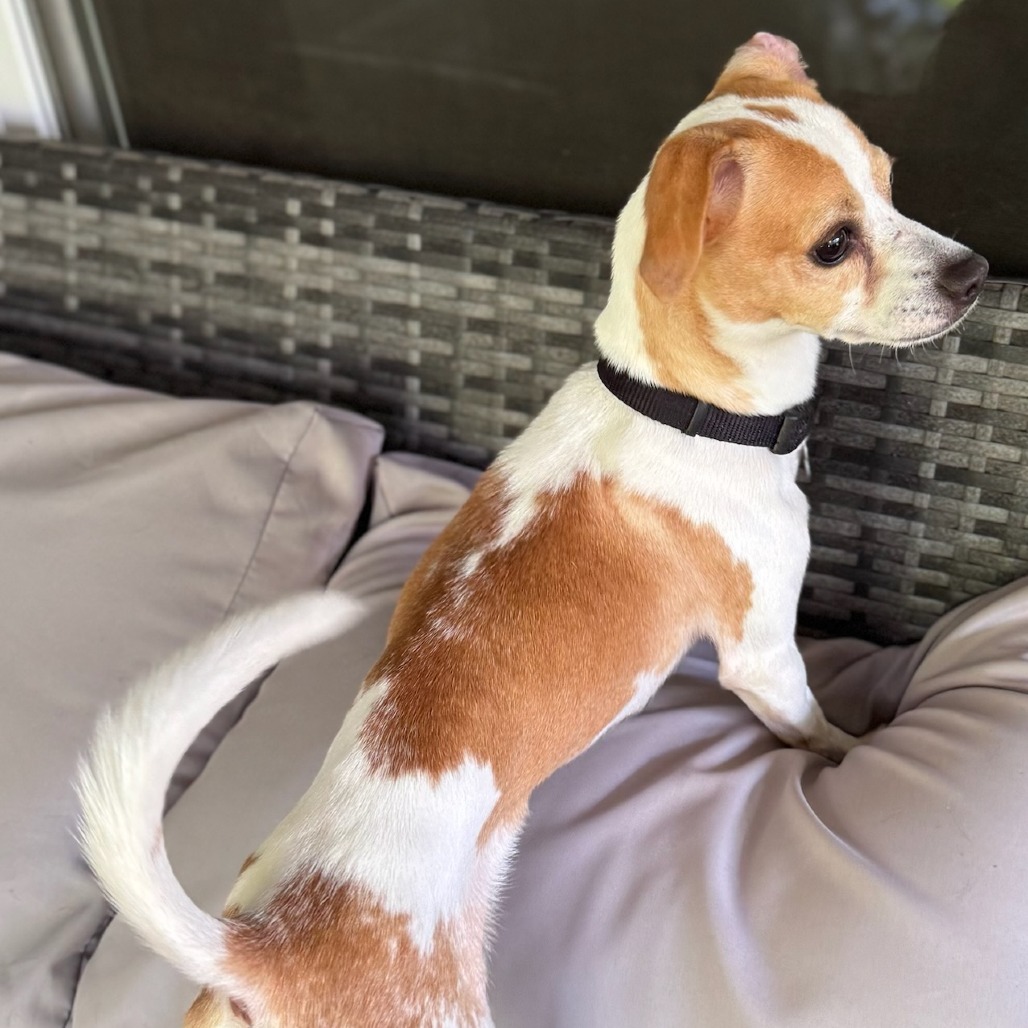 Maggie