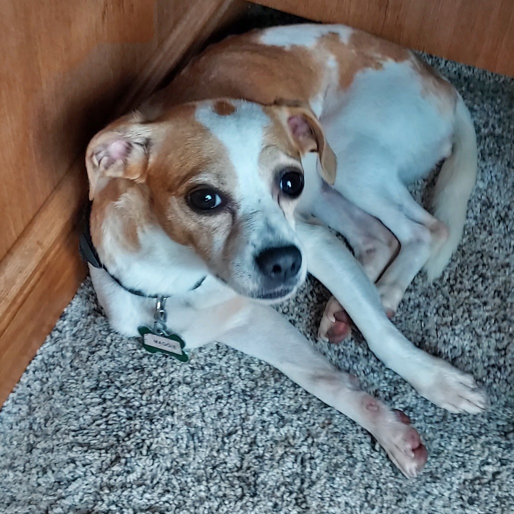 Maggie