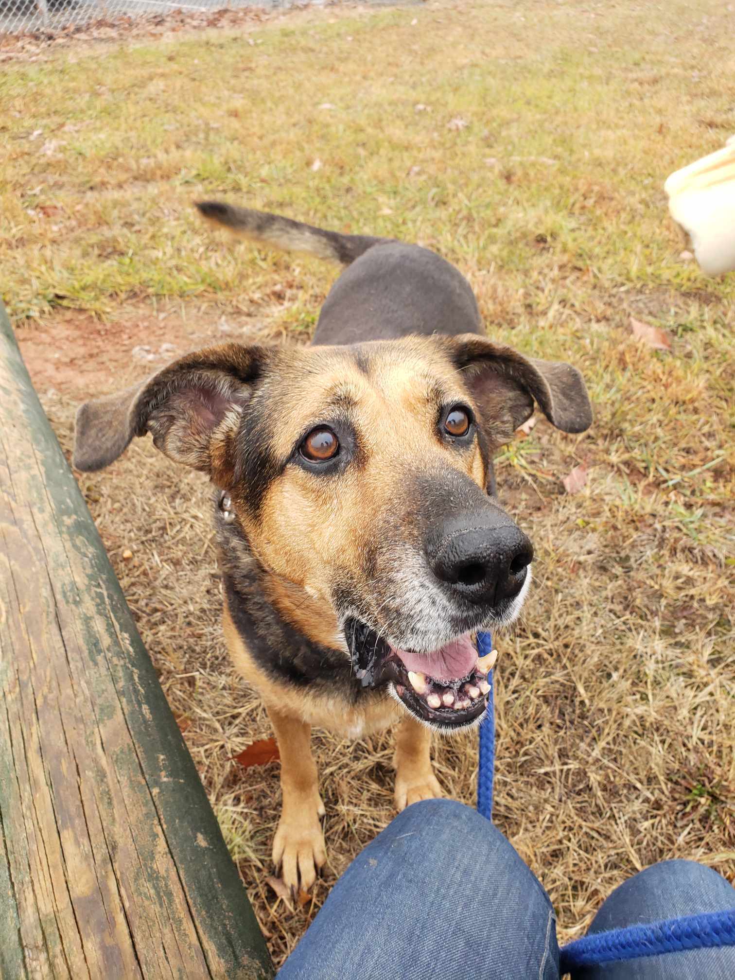Lucky: Not at shelter (Joan)