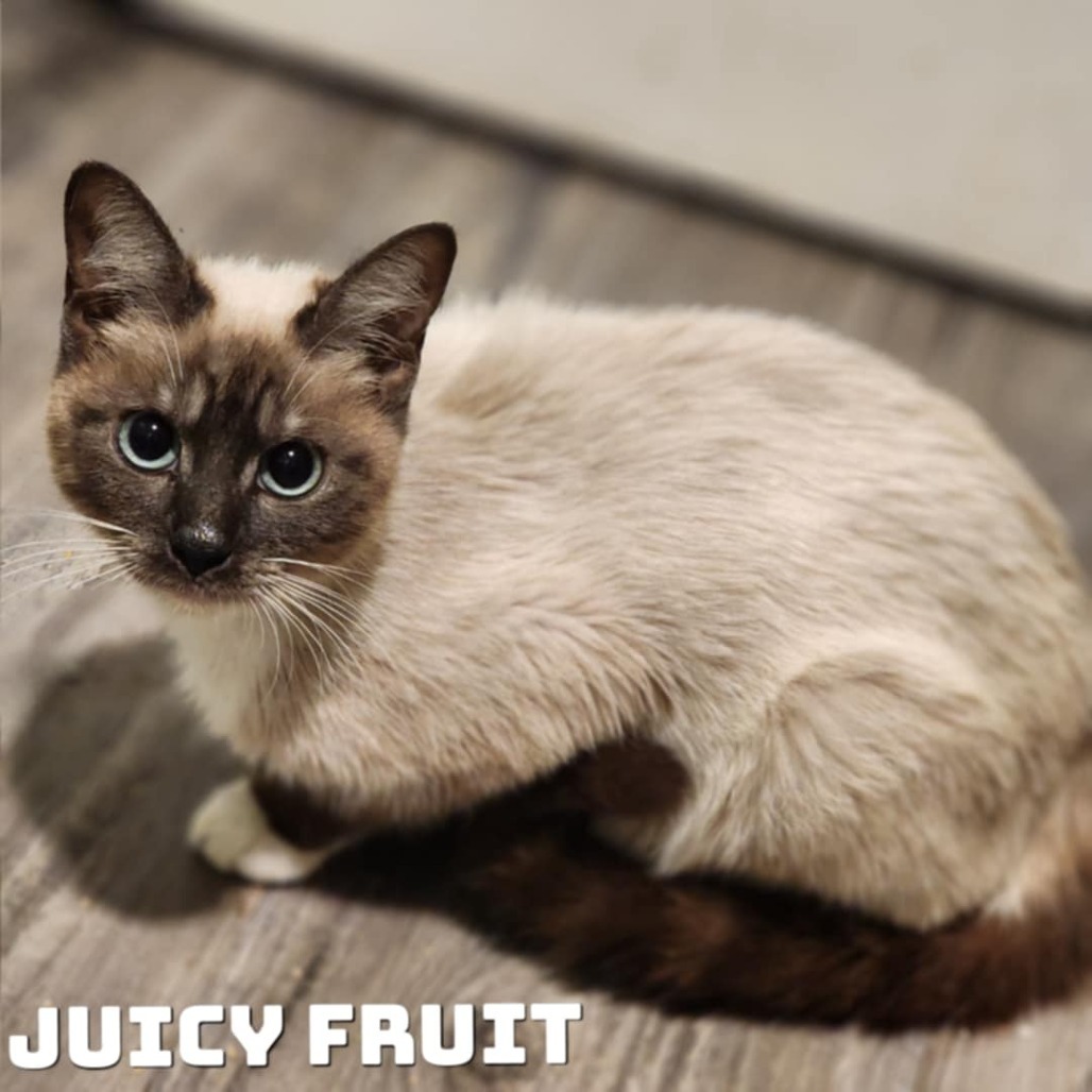Juicy Fruit