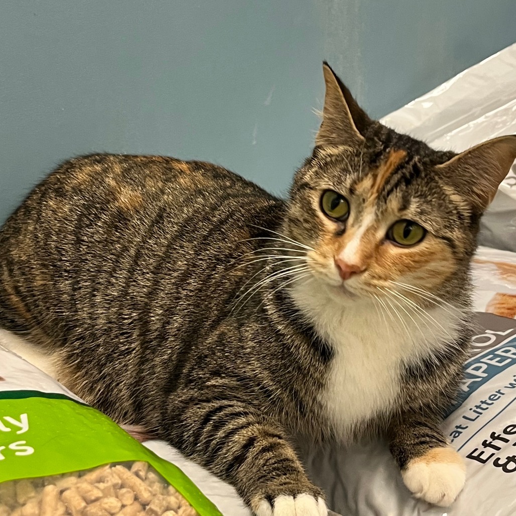 Adele Tarkitty (bonded with Charlie Tarkitty)