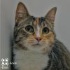 Adele Tarkitty (bonded with Charlie Tarkitty) photo 5