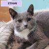 Ethan Tarkitty (brother of Hank Tarkitty) photo 1