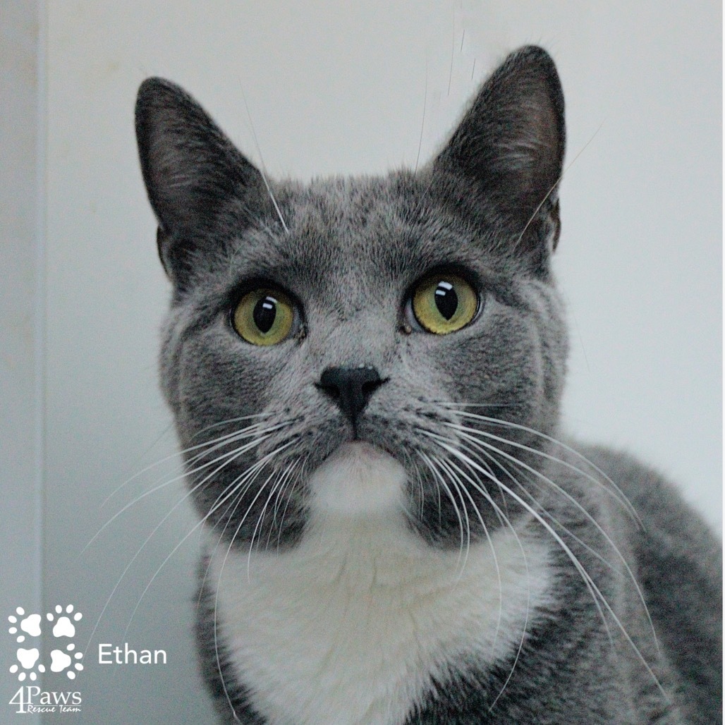 Ethan Tarkitty (brother of Hank Tarkitty)