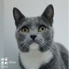 Ethan Tarkitty (brother of Hank Tarkitty) photo 2