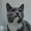 Ethan Tarkitty (brother of Hank Tarkitty) photo 3