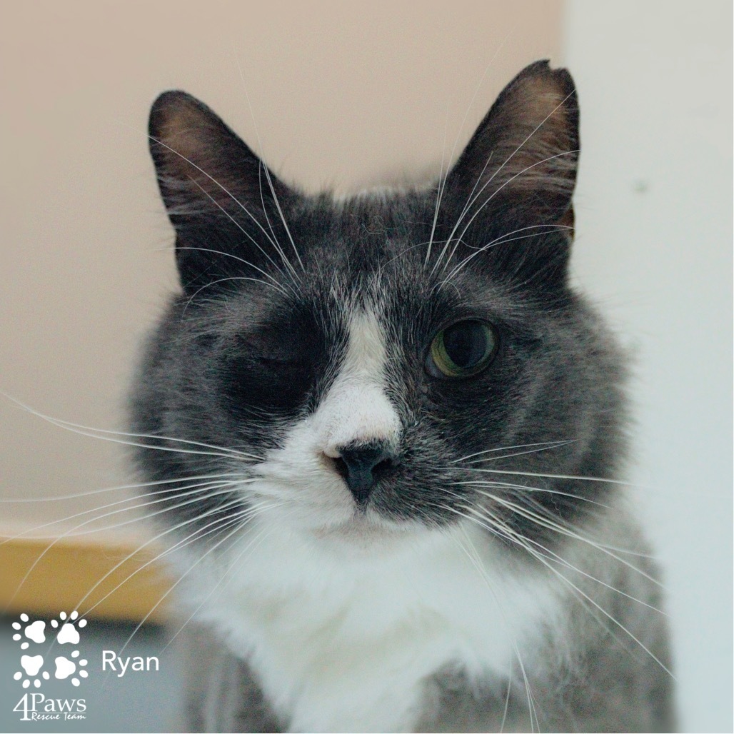 Ryan Tarkitty