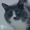 Ryan Tarkitty photo 2