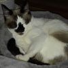Greta photo 2