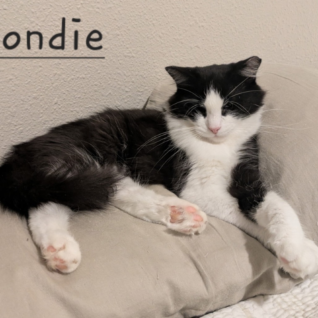 Londie