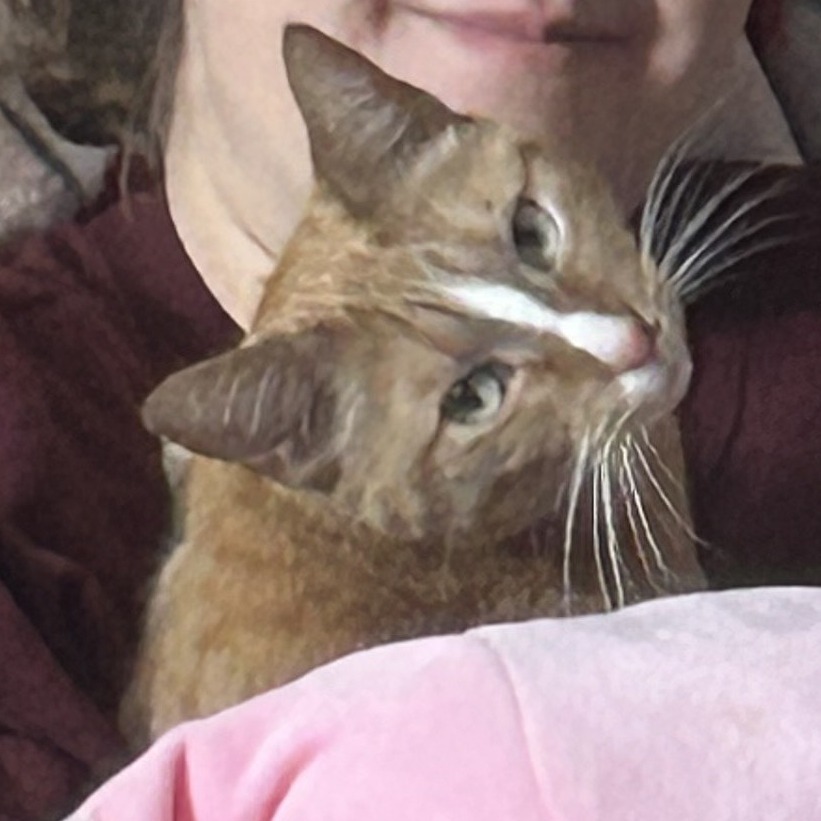 Tigger