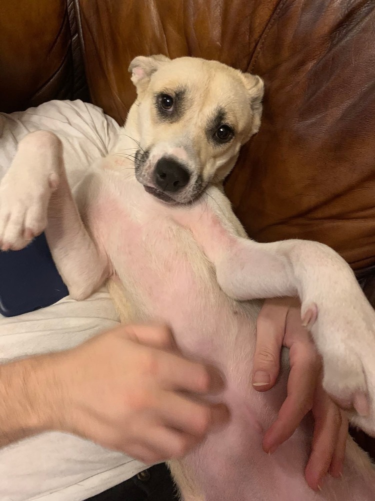 Lexie
