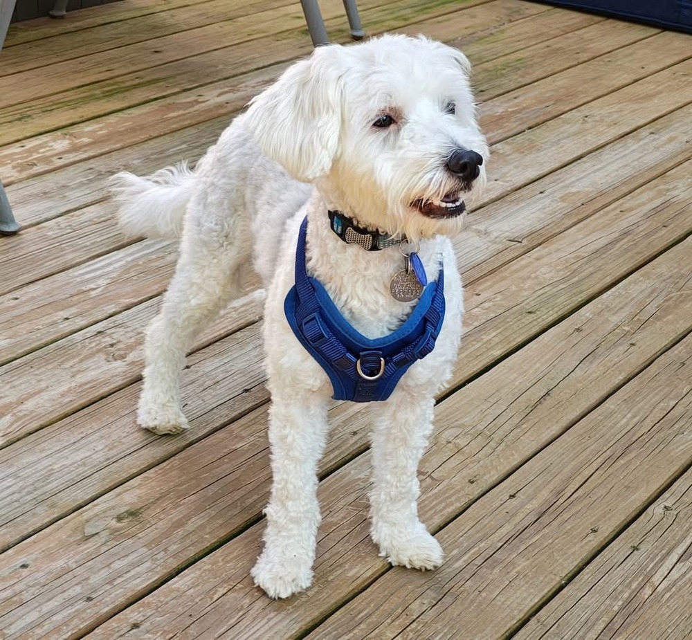 Barkley