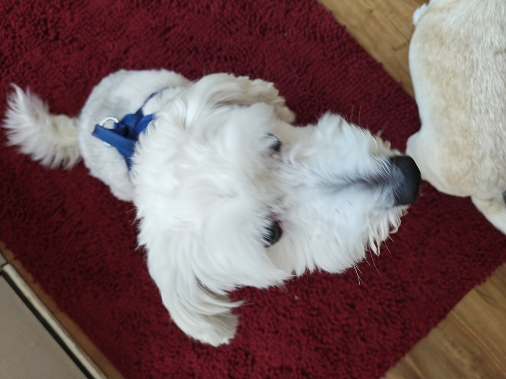 Barkley