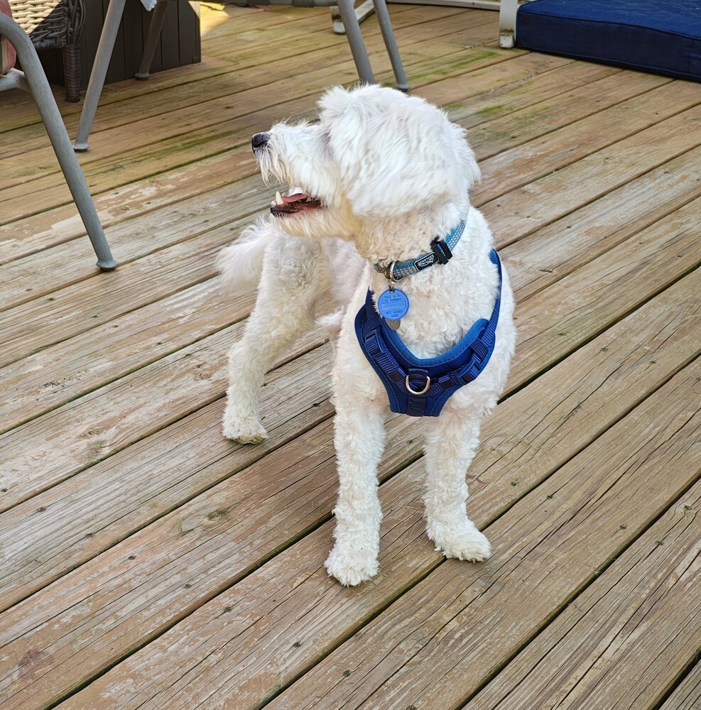 Barkley