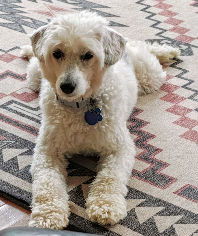 Barkley