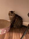 Emily photo 3
