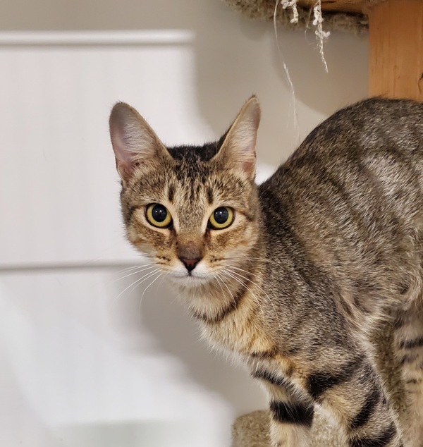 Mimi