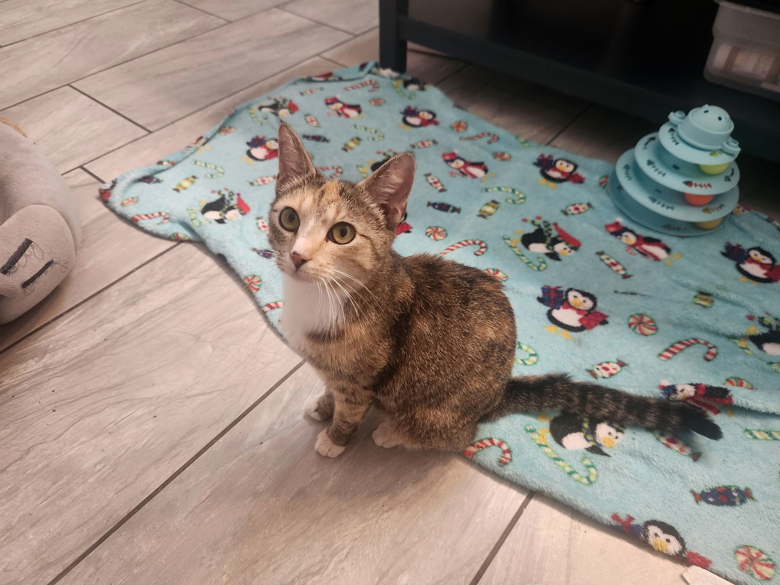 Chloe