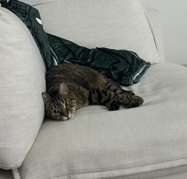 Mimi