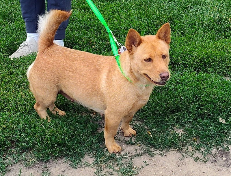 Harlow Rosalia "Rosie"