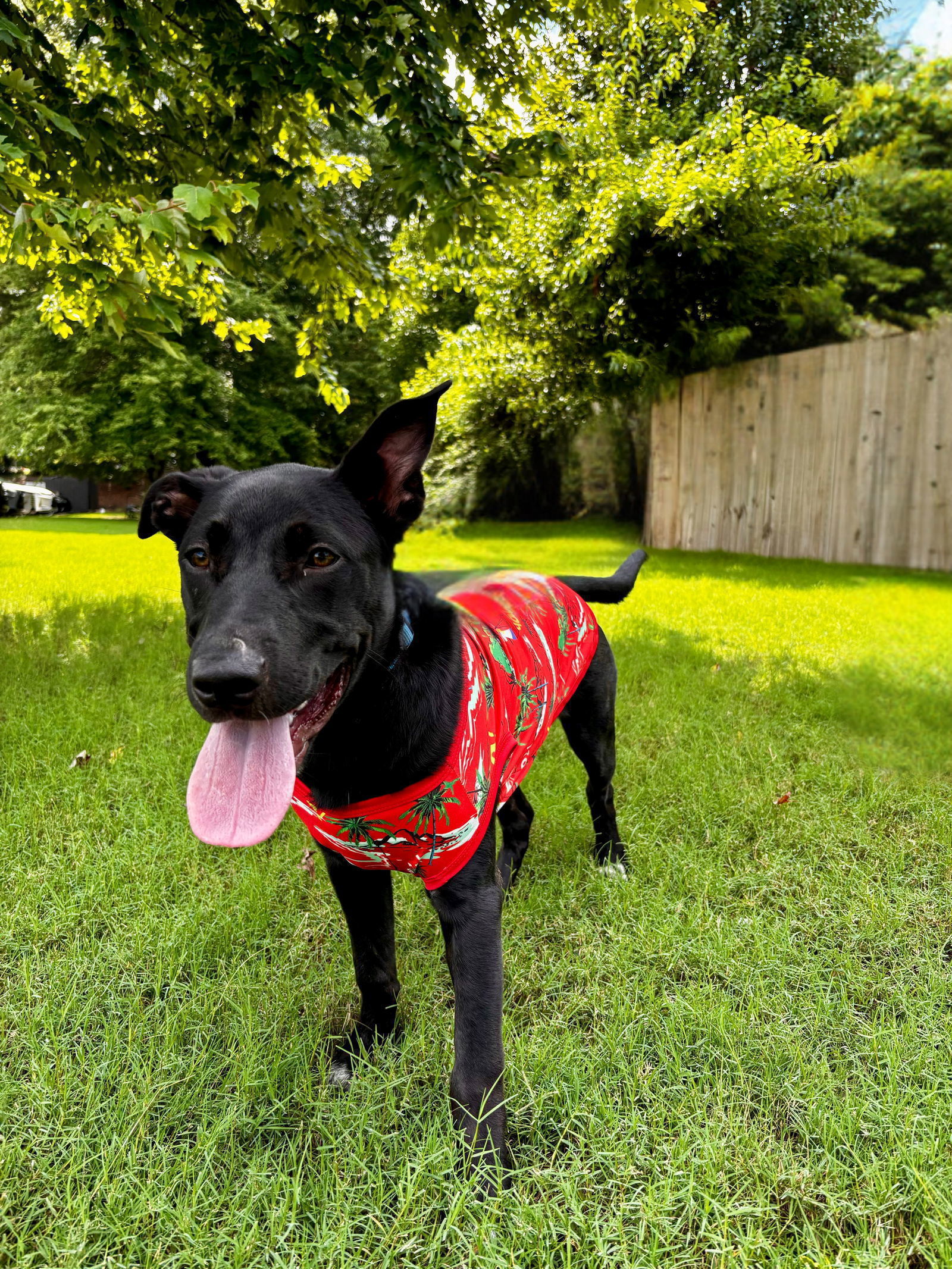 RANGER