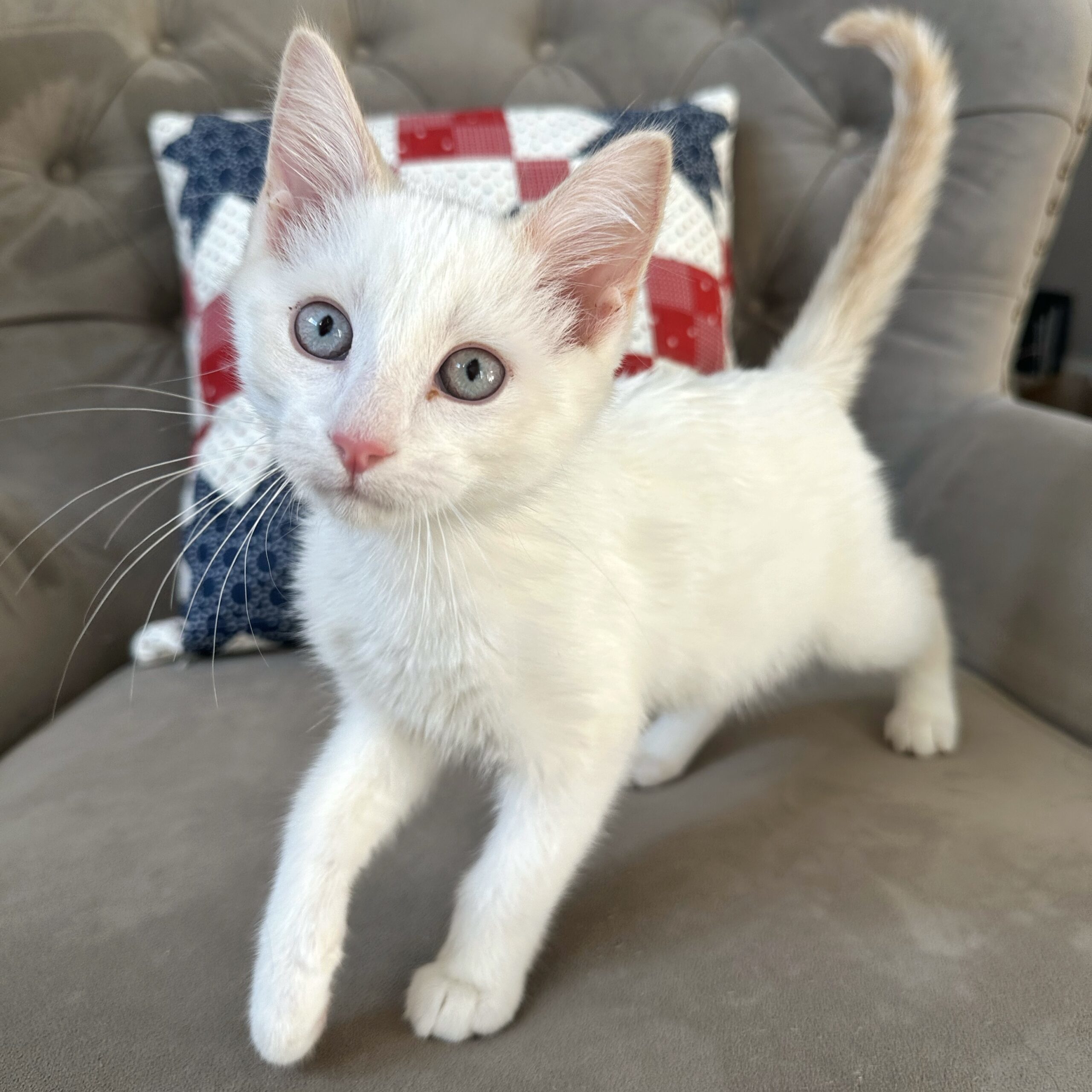 Jack