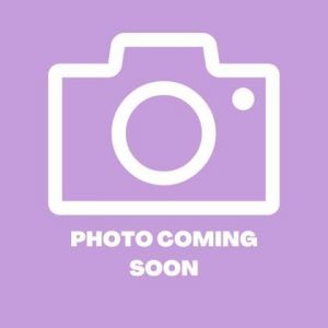 58722000, Baby Male Siamese
