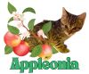 Apple photo 2