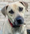 Clyde photo 2
