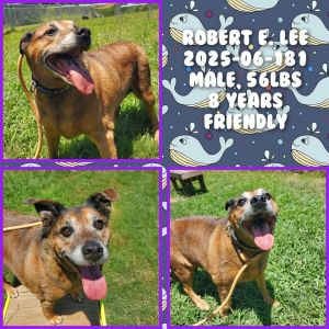 2025-06-181 *Robert E Lee*, Adult Male unknown