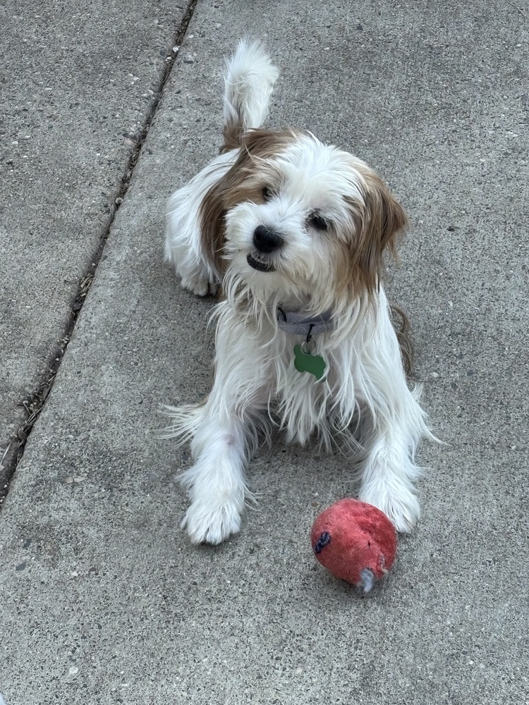 Ruby