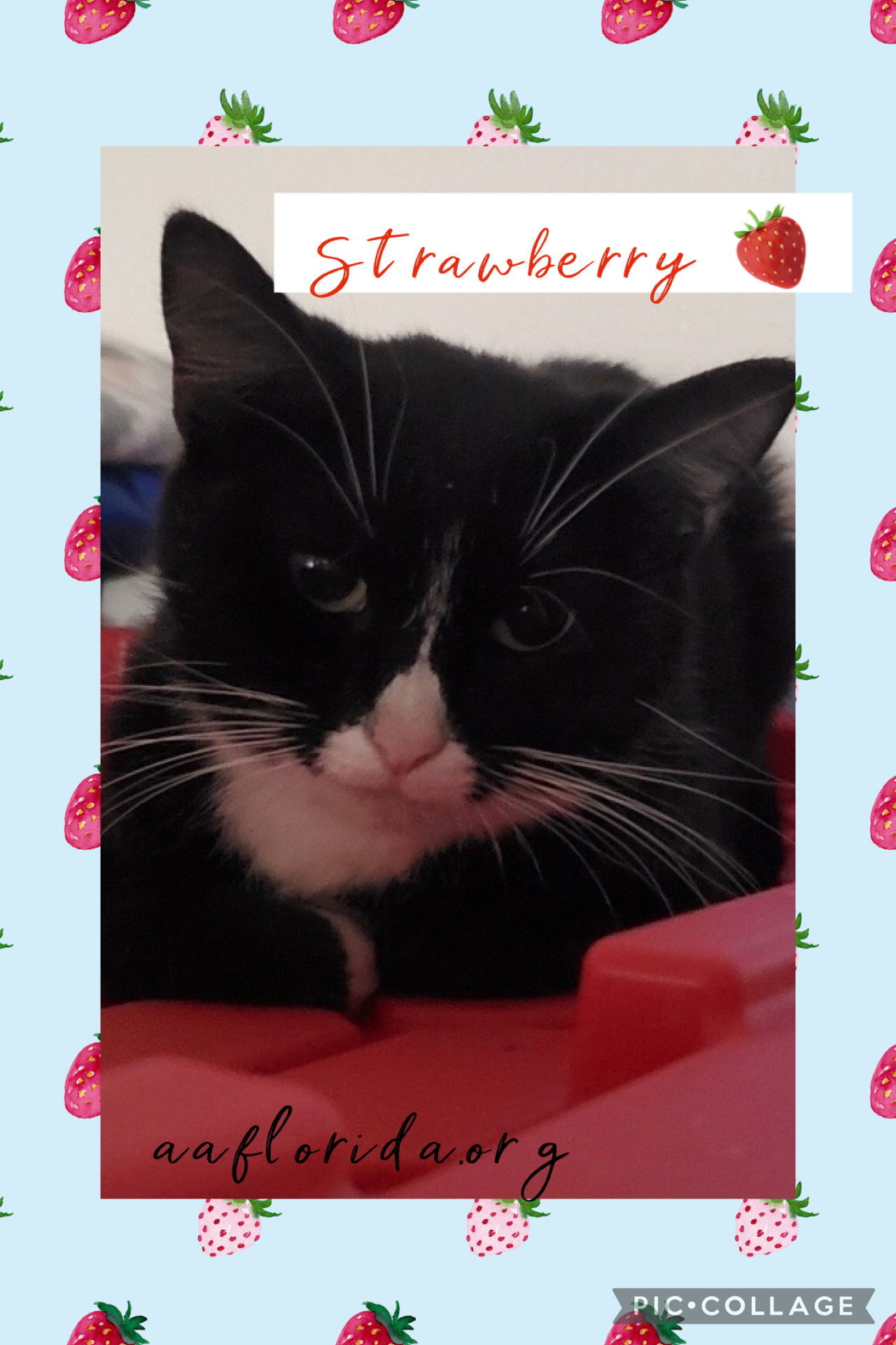 Strawberry