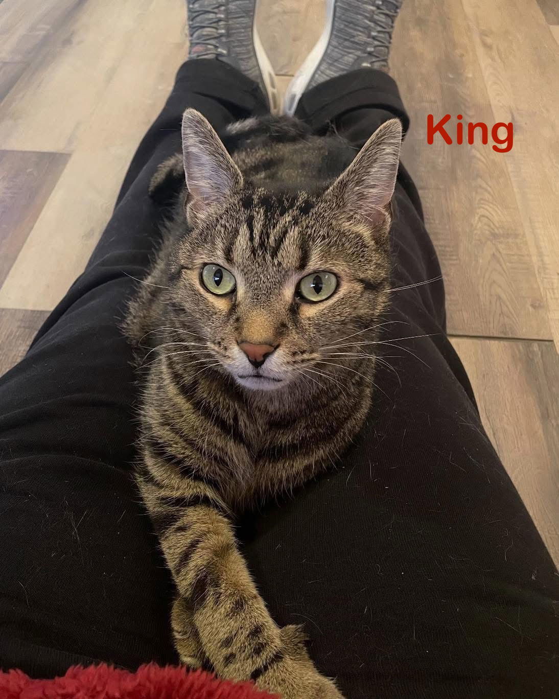 King