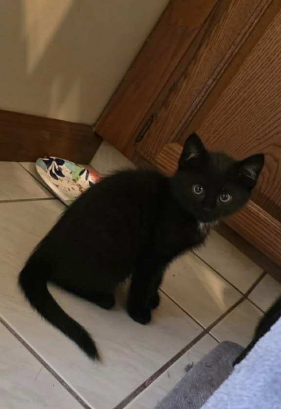 Julian