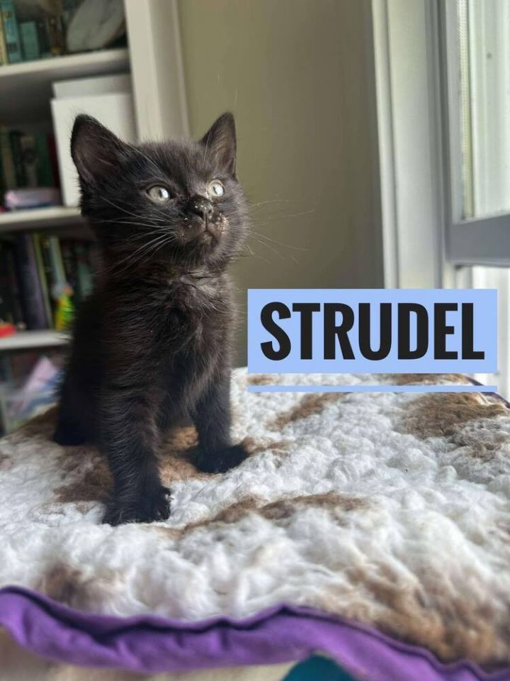 Strudel 1