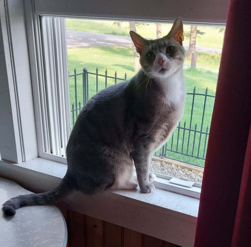 Finnegan
