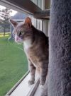 Finnegan photo 3