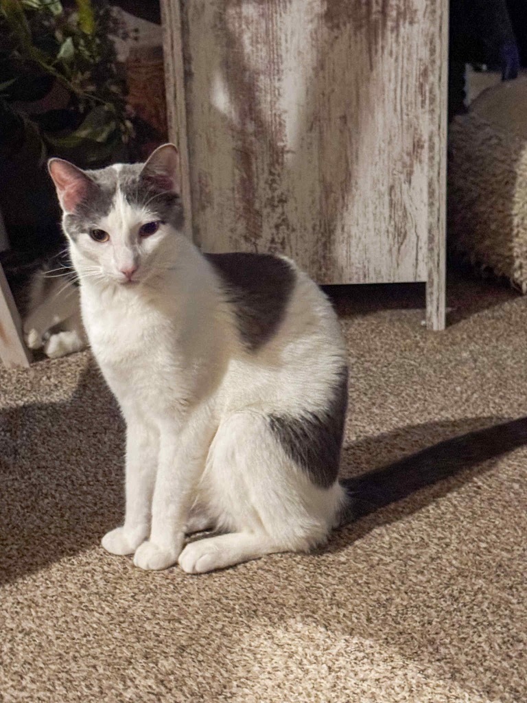 Milo