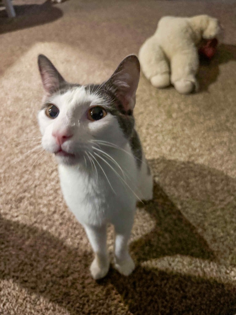Milo