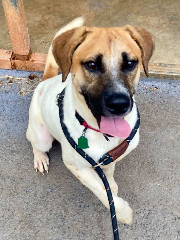 Beau Bailey thumbnail 2