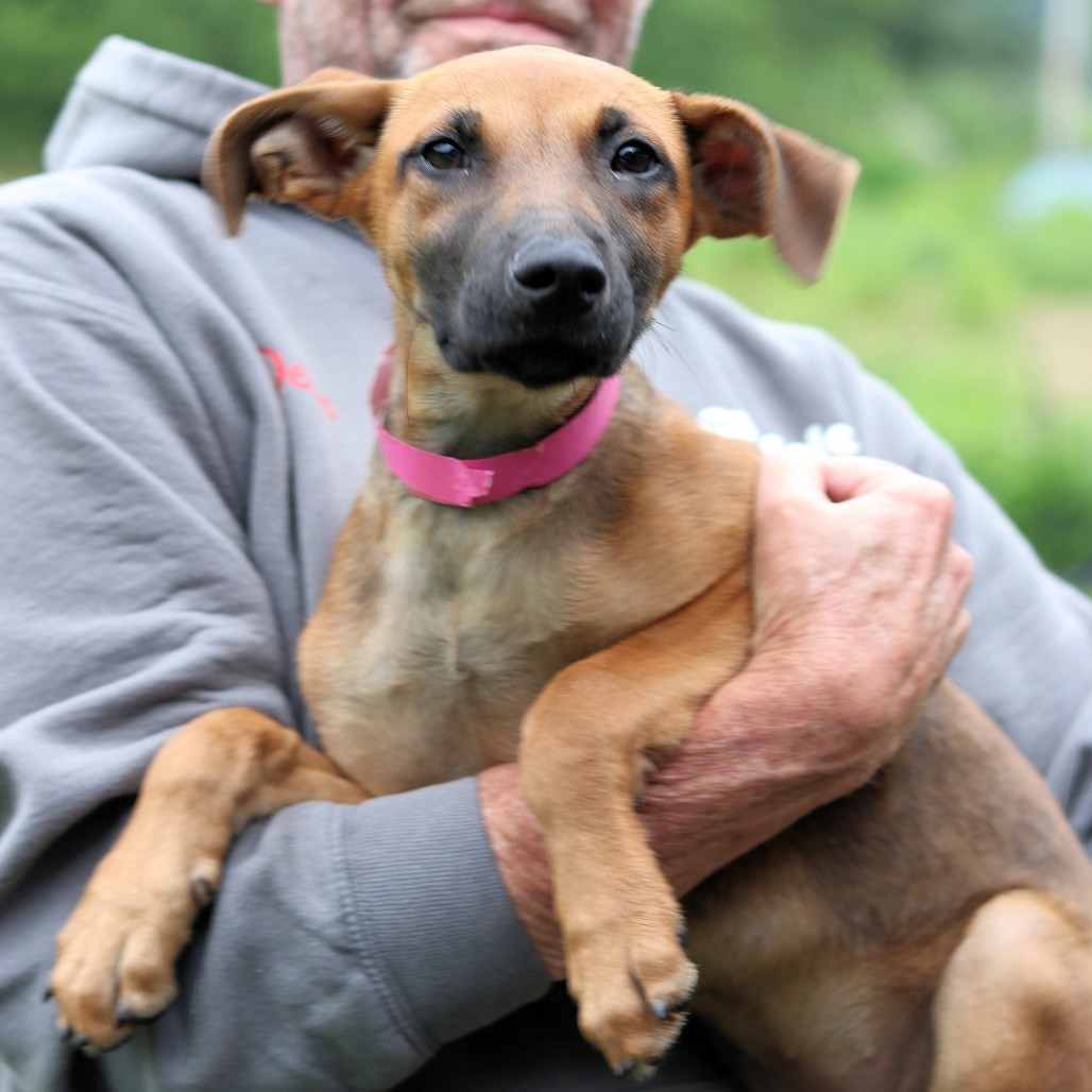 CT Hally (Foster in Tolland, CT)