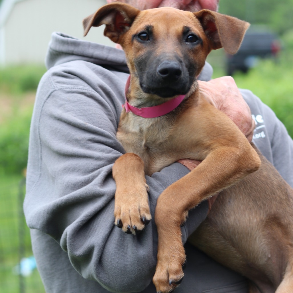 CT Hally (Foster in Tolland, CT)