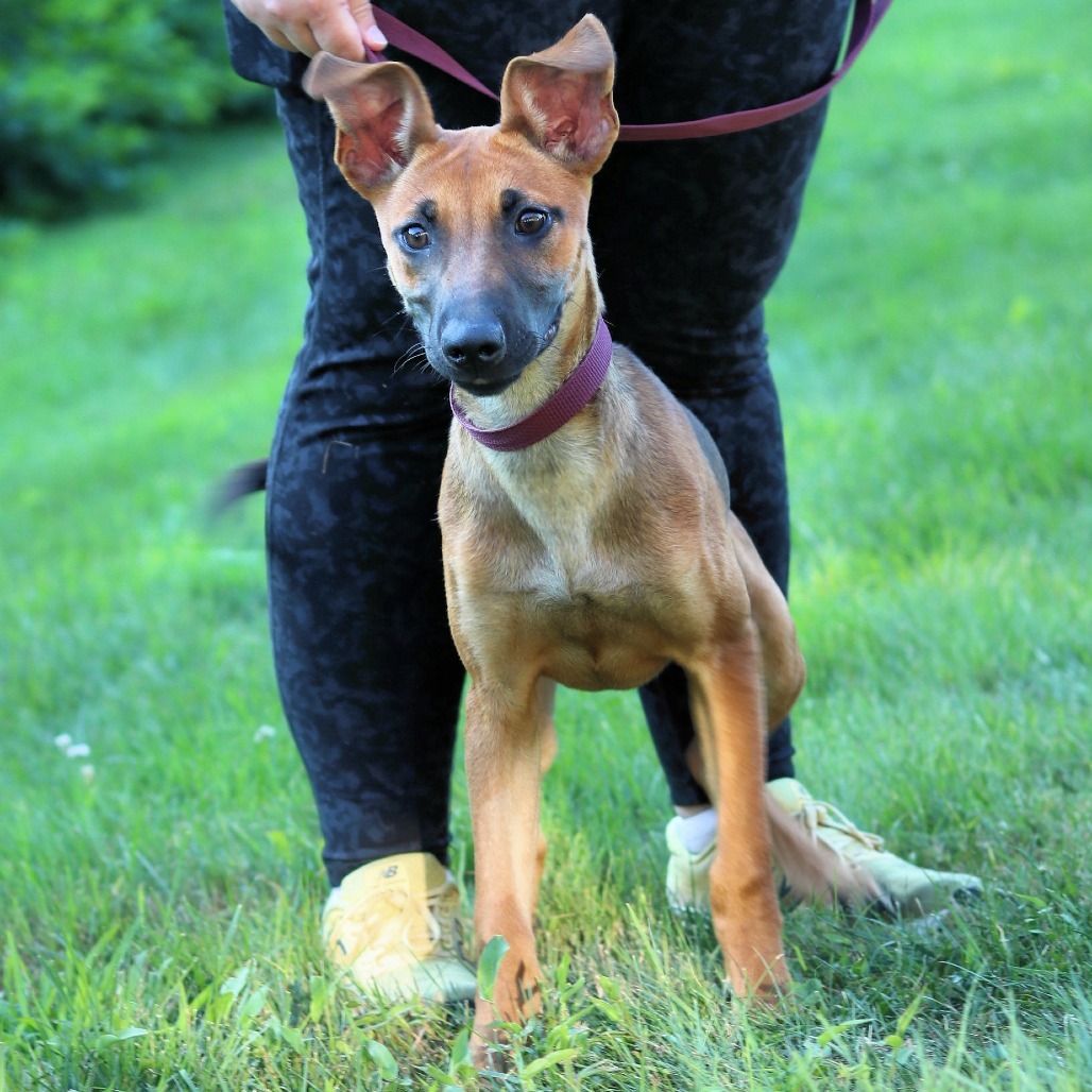 CT Hally (Foster in Tolland, CT)
