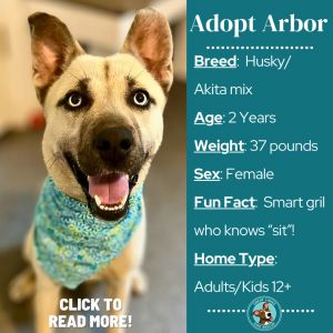 Arbor