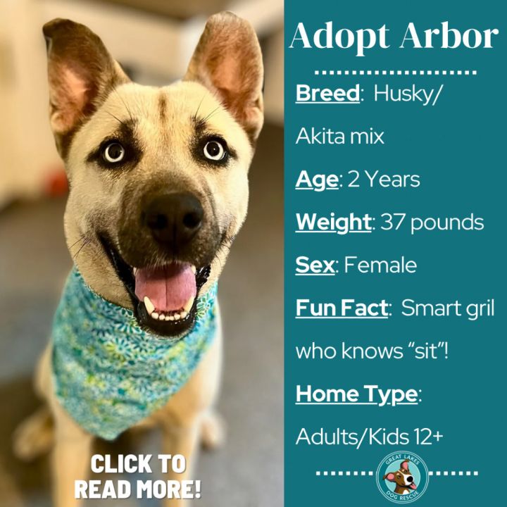 Arbor 1