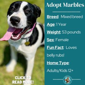 Marbles (Humidity)